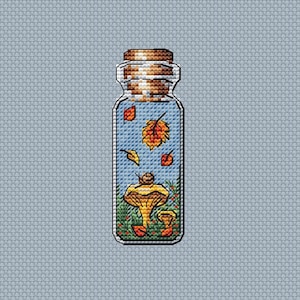 Leaf Fall Mushroom Bottle Cross Stitch Pattern: Mini DMC Chart (PDF Pattern)