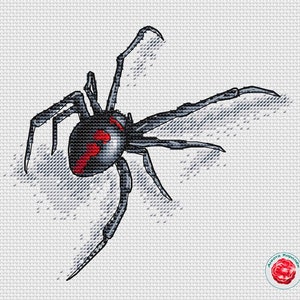 Puede incluir: Araña negra y roja con ocho patas y una marca roja en forma de reloj de arena en su abdomen. La araña está sobre un fondo blanco.