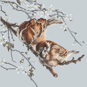 Sparrows Cross Stitch Pattern Spring Birds Pattern PDF Spring Embroidery Birds Cross Stitch Pattern DMC Chart Printable PDF Instant Download