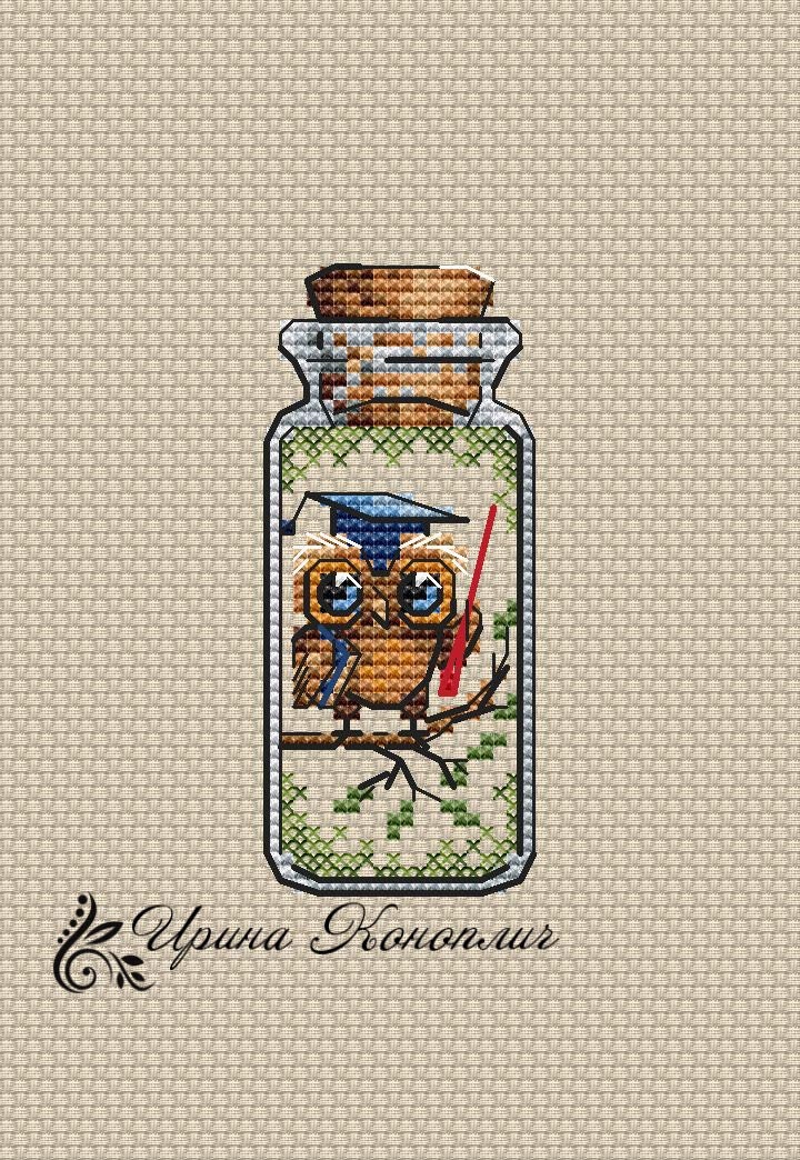 Owl Teacher in Bottle Cross Stitch Pattern, Easy Mini Chart (PDF Pattern)