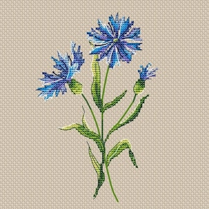 Fiordaliso Schema punto croce Fiore Schema PDF Ricamo floreale Schema fiore blu Fiore di campo DMC Grafico PDF stampabile Download istantaneo