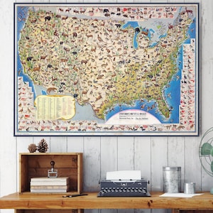 Mappa illustrata della fauna selvatica e della selvaggina negli Stati Uniti, mammiferi e uccelli autoctoni degli Stati Uniti, mappe artistiche degli Stati Uniti, animali degli Stati Uniti, fauna degli Stati Uniti.