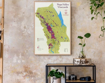 Mappa dei vigneti della Napa Valley: decorazioni con vini d'epoca