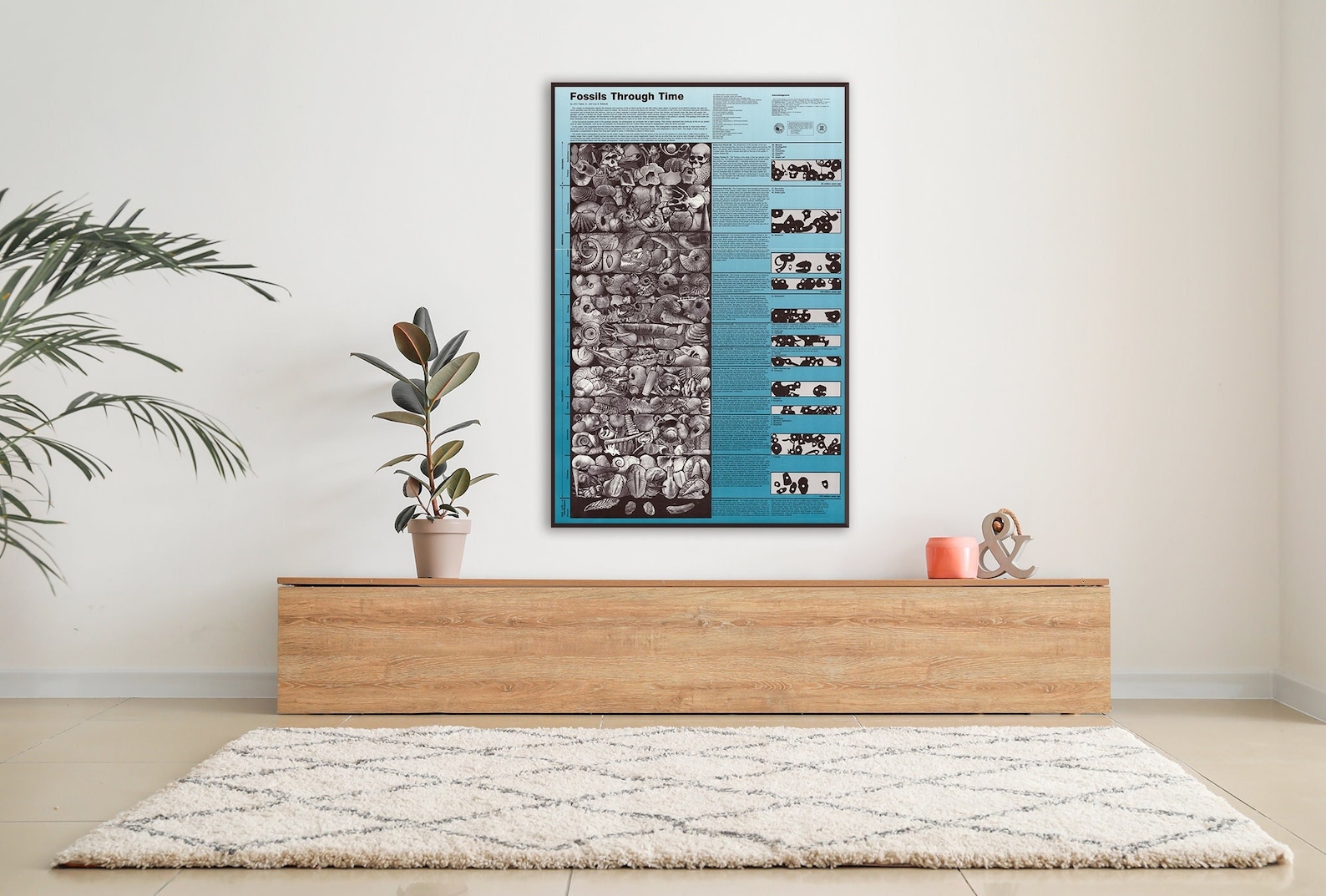 Fossils Through Time, Paleontology Educational Science Chart