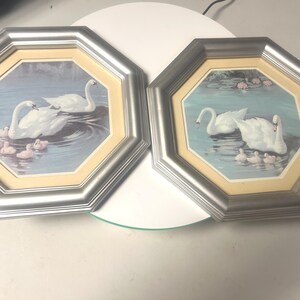 May include: Two framed swan art prints. Each print features a pair of white swans with their cygnets swimming in a blue pond. The frames are silver-colored and octagonal, with a cream-colored matting.