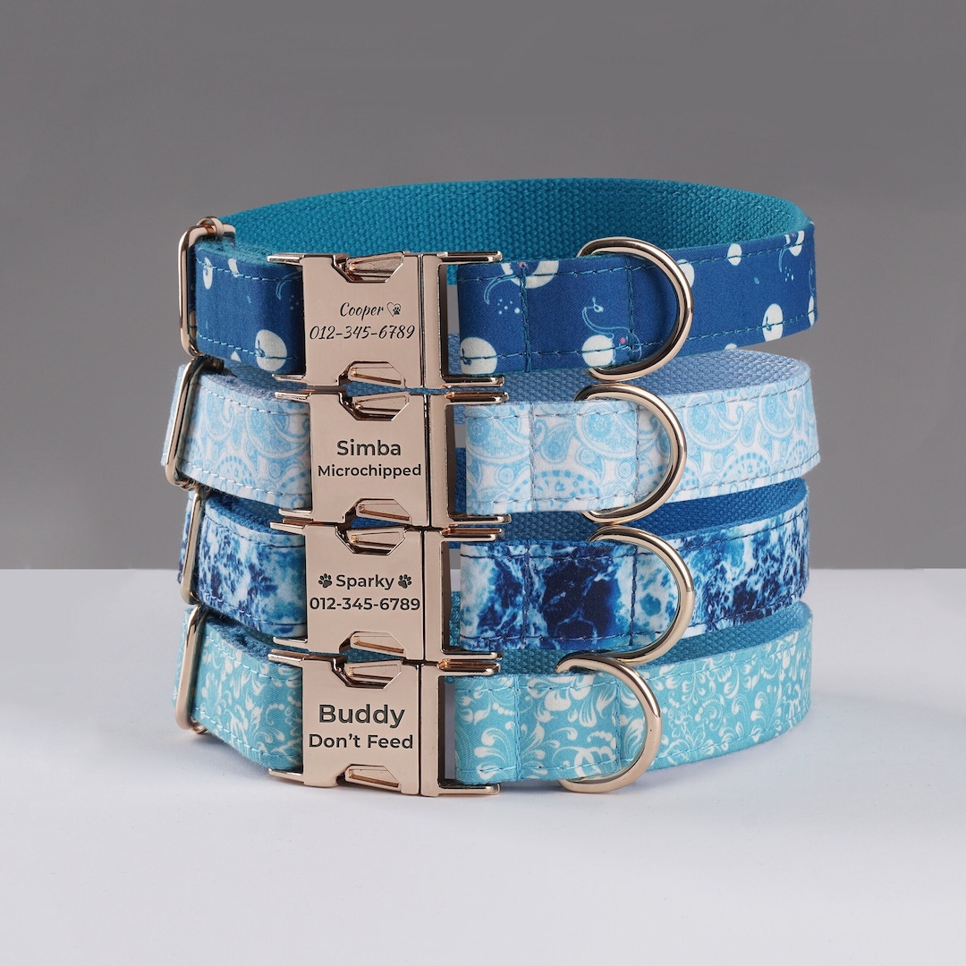 Personalized Dog Collar Custom Dog Collar and Leash Set, Dog Collar