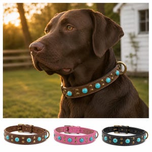 Western Top Grain Leather Dog Collar, Turquoise Studded Southwest Style, Small Medium Large