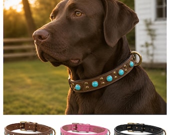 Western Top Grain Leather Dog Collar, Turquoise Studded Southwest Style, Small Medium Large