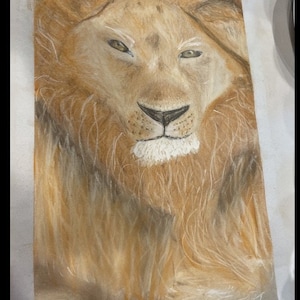 Customizable Large Chalk Pastel  color drawing