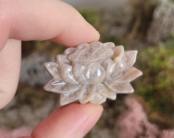 Talla pequeña de flor de loto de piedra lunar