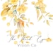 The Third Eye Vision Co