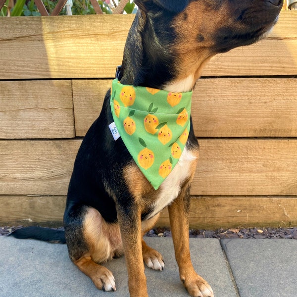 Happy Lemons - Personalised Custom Fleece or Cotton Lined Dog Bandana - Over The Collar - Pet Neckwear - Pet Accessories