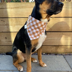 Herfst bruine gingangruit - gepersonaliseerde aangepaste fleece of katoen gevoerde hondenbandana - over de kraag - dassen voor huisdieren - huisdieraccessoires