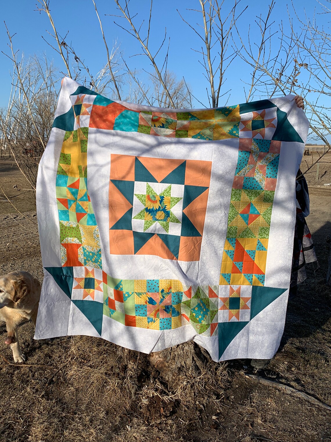 Churned All Day 2.0 Digital PDF Quilt Pattern - Etsy