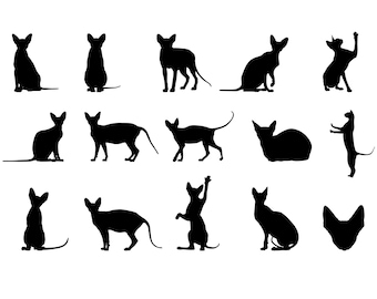 Sphynx Cat Svg - Silhouette di Sphynx Cat - Bundle di Sphynx Cat svg - File di taglio di Sphynx Cat - Clipart di Sphynx Cat - svg - eps - dxf - png - jpg