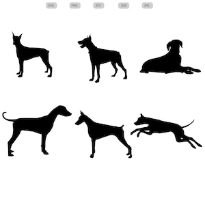 Doberman Pinscher Svg-Doberman Pinscher Silhouette-Doberman Pinscher svg paquete-Doberman Cut File-Doberman Clipart-svg-eps - dxf - png - jpg