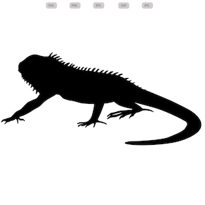 Iguana Svg - Iguana Silhouette - Iguana svg bundle -Iguana svg design- Iguana Cut File - Iguana Clipart - svg - eps - dxf - png - jpg