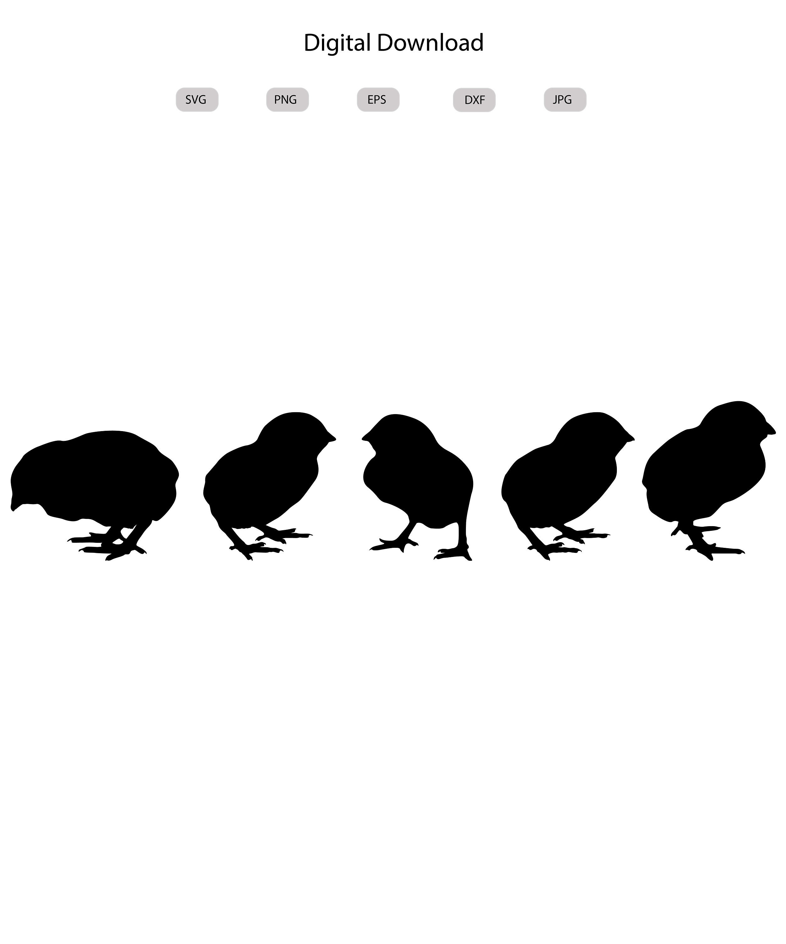 Baby Chick Svg - Baby Chick Silhouette - Baby Chick Svg Bundle - Baby ...