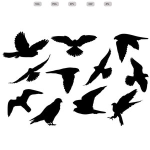 Puede incluir: Un conjunto de diez imágenes de siluetas negras de pájaros en vuelo. Los pájaros están todos mirando en diferentes direcciones y están en varias etapas de vuelo.