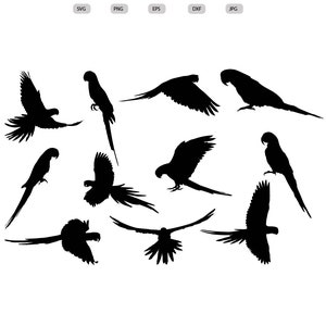 Parrot Svg - Parrot Silhouette - Parrot svg bundle -Parrot svg design- Parrot Cut File - Parrot Clipart - svg - eps - dxf - png - jpg