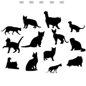 Cat Breeds Svg - Cat Breeds Silhouette - Cat Breeds svg bundle- Cat Breeds Cut File - Cat Breeds Clipart - svg - eps - dxf - png - jpg