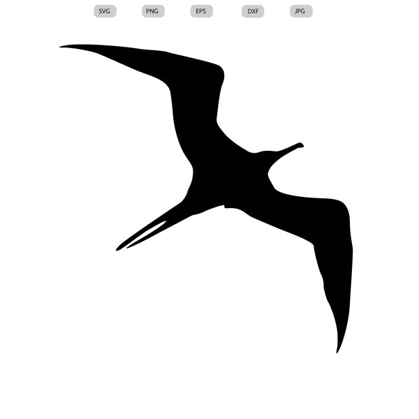 Grande frégate oiseau SVG - grande frégate oiseau silhouette - grande frégate oiseau coupe fichier - grande frégate oiseau clipart - svg-eps-dxf-png-jpg