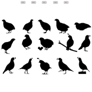 Wachteln Vogel geschnitten Datei - Wachteln Clipart - Wachteln Clipart - svg - eps - dxf - png - jpg -