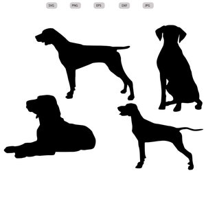 May include: Four black silhouette images of a German Shorthaired Pointer dog in different poses. The dog is standing, sitting, and lying down.