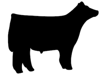 Show steer Svg - Show steer Silhouette - Show steer svg bundle -  Show steer Cut File - Show steer Clipart - svg - eps - dxf - png - jpg