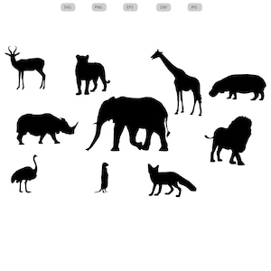 Animali africani Svg - Silhouette di animali africani - Pacchetto di animali africani in formato SVG - Animali africani tagliati File - SVG - EPS - DXF - PNG - jpg