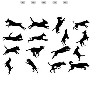 Op de afbeelding: Een set van 12 zwarte silhouetbeelden van honden in verschillende poses, waaronder rennen, springen en staan. De afbeeldingen zijn geschikt voor gebruik in digitaal handwerk, zoals snijbestanden voor vinyl stickers of papierwerk.