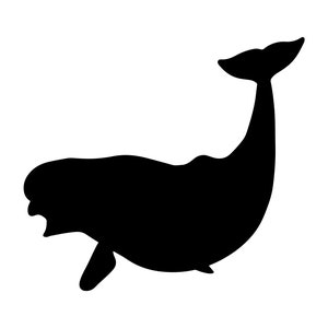 Beluga white whale Svg- Beluga white whale Silhouette- Beluga white whale Cut File- Beluga white whale Clipart - svg - eps - dxf - png - jpg