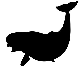 Beluga white whale Svg- Beluga white whale Silhouette- Beluga white whale Cut File- Beluga white whale Clipart - svg - eps - dxf - png - jpg