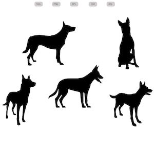 Malinois Svg - Malinois Silhouette - Malinois svg bundle -Malinois svg design- Malinois Cut File - Malinois Clipart -svg -eps -dxf -png -jpg