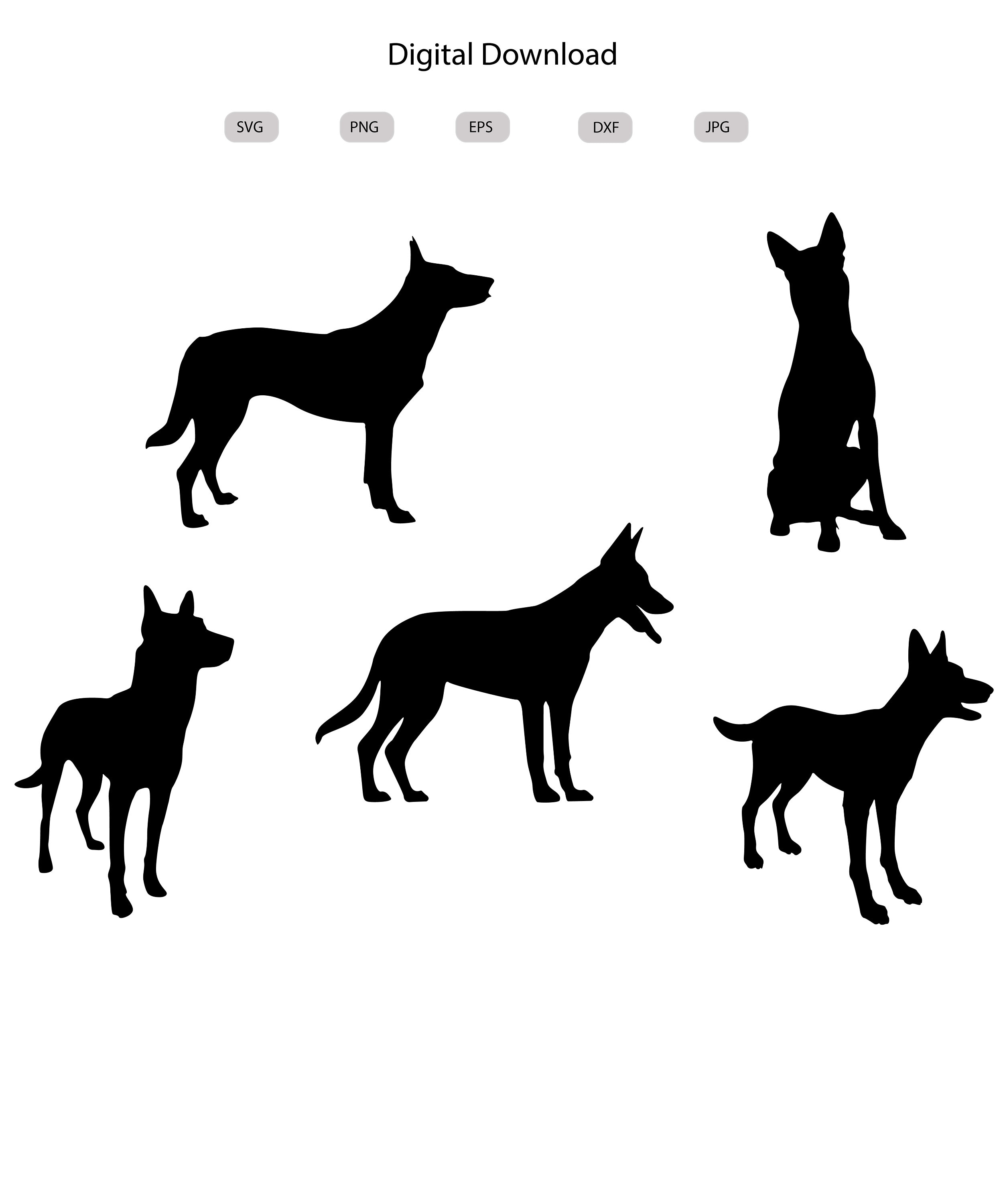 Malinois Svg Malinois Silhouette Malinois Svg Bundle Etsy UK