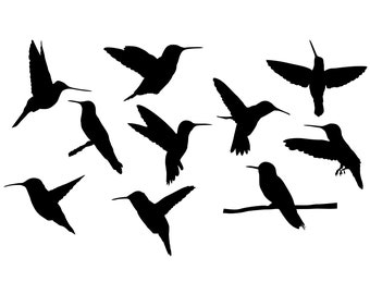 Hummingbird Svg - Hummingbird Silhouette - Hummingbird svg bundle -Hummingbird Cut File - Hummingbird Clipart - svg - eps - dxf - png - jpg