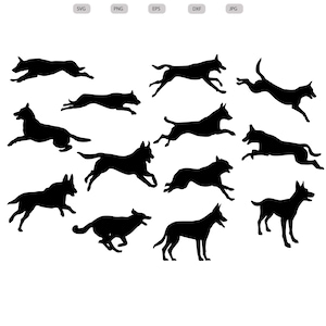 May include: A set of ten black silhouette images of dogs running in different poses. The images are suitable for use in digital crafts, such as cutting files for a Cricut or Silhouette.