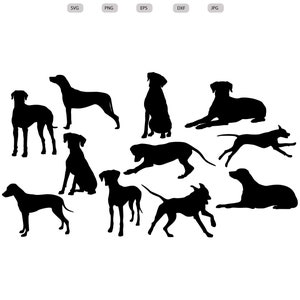 Puede incluir: Silueta de nueve perros negros en varias poses, incluyendo de pie, sentados y corriendo. Los perros están todos mirando en diferentes direcciones.