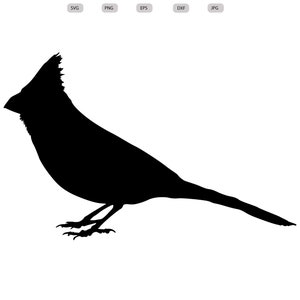 Kardinal-Svg - Kardinal-Silhouette - Kardinal-Svg-Bundle - Kardinal-Svg-Design - Kardinal-Schnittdatei - Kardinal-Clipart - svg-eps-dxf-png-jpg