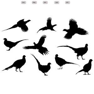 Faisán pájaro Svg - Faisán pájaro silueta - Faisán pájaro svg paquete -Faisán pájaro corte archivo - Faisán pájaro Clipart -svg-eps-dxf-png-jpg