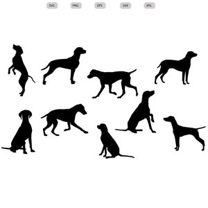 Vizsla húngaro Svg - Silueta vizsla húngara - Archivo de corte vizsla húngaro - Imágenes prediseñadas de vizsla húngaro - svg - eps - dxf - png - jpg