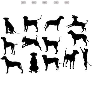 Catahoula Leopard dog Svg - Catahoula Leopard dog Silhouette -Catahoula Leopard dog  Cut File - svg - eps - dxf - png - jpg