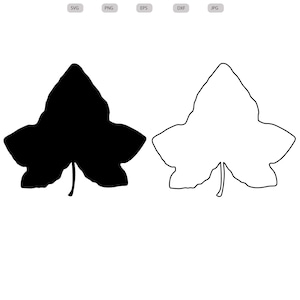Puede incluir: Un contorno blanco y negro de una hoja de hiedra. La hoja se muestra tanto en negro sólido como en contorno blanco.