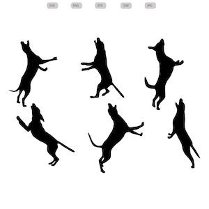 May include: Five black silhouette images of dogs jumping in the air with their mouths open. The dogs are in different positions, some are facing forward, some are facing sideways, and some are facing backward.