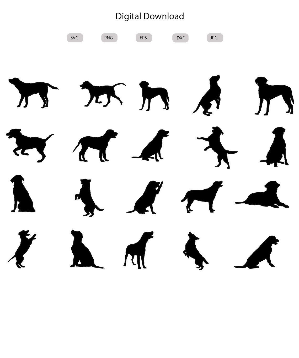 Labrador Svg - Labrador Silhouette - Labrador Svg Bundle -labrador Svg ...