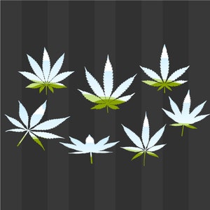 May include: Seven white marijuana leaves with green accents on a black and white striped background.