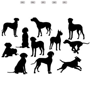Great Dane Dog Svg - Great Dane Silhouette - Great Dane svg bundle -Great Dane Cut File - Great Dane Clipart - svg - eps - dxf - png - jpg