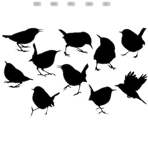 Wren Bird Svg - Wren Bird Silhouette - Wren Bird svg bundle -Wren Bird Cut File - Wren Bird Clipart - svg - eps - dxf - png - jpg