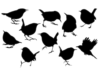 Wren Bird  Svg - Wren Bird Silhouette - Wren Bird svg bundle -Wren Bird Cut File - Wren Bird Clipart - svg - eps - dxf - png - jpg