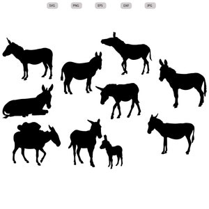 Mule SVG - Mule Silhouette - Mule svg Bundle - Mule svg Design - Mule geschnitten Datei - Mule Clipart - svg - eps - dxf - png - jpg